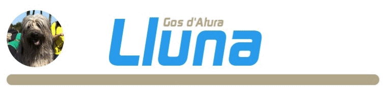 LLuna